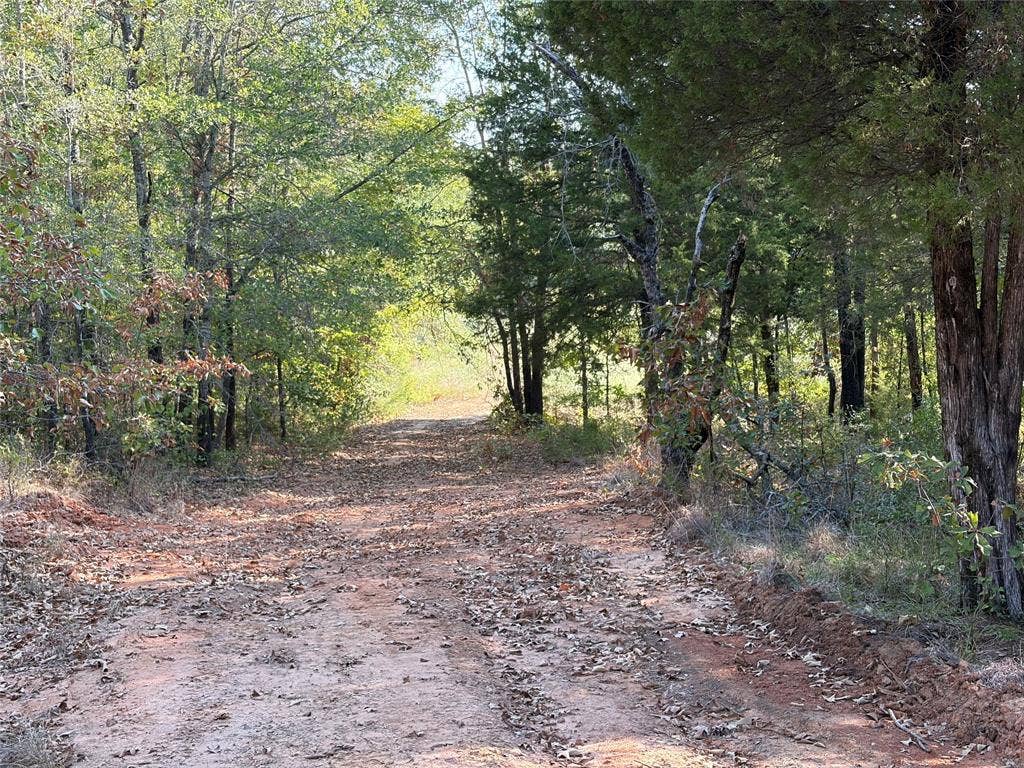 10740 N Us-175, Athens, TX 75751