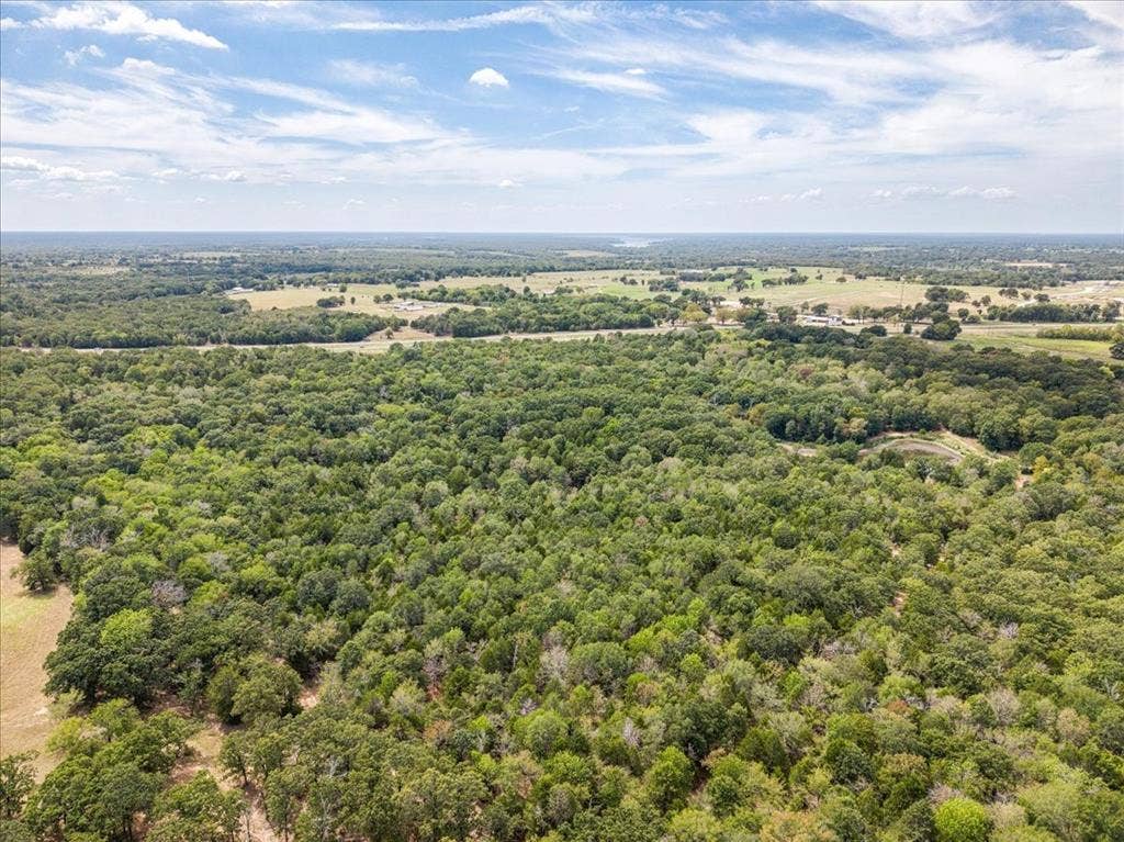 10740 N Us-175, Athens, TX 75751
