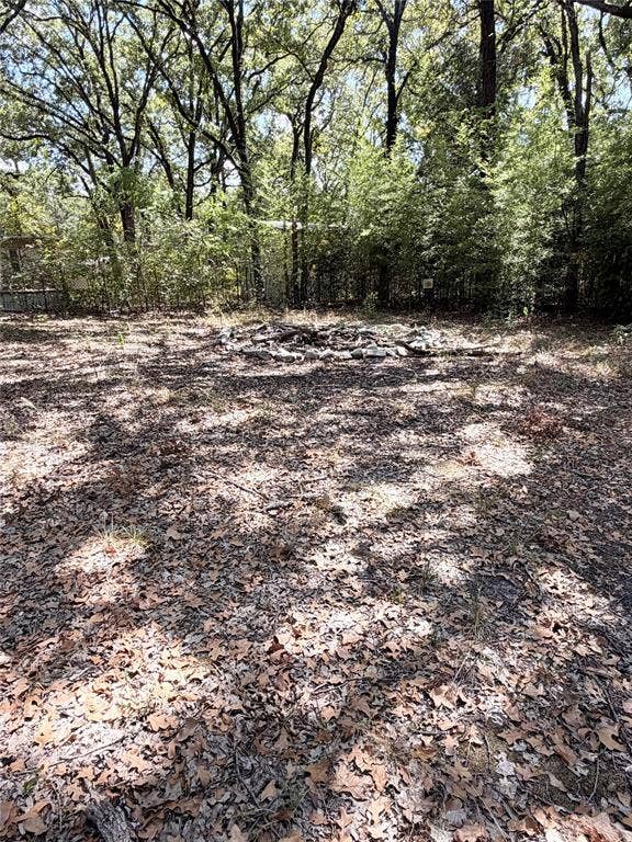 107 Meadowlark Lane, Mabank, TX 75156 Fire pit