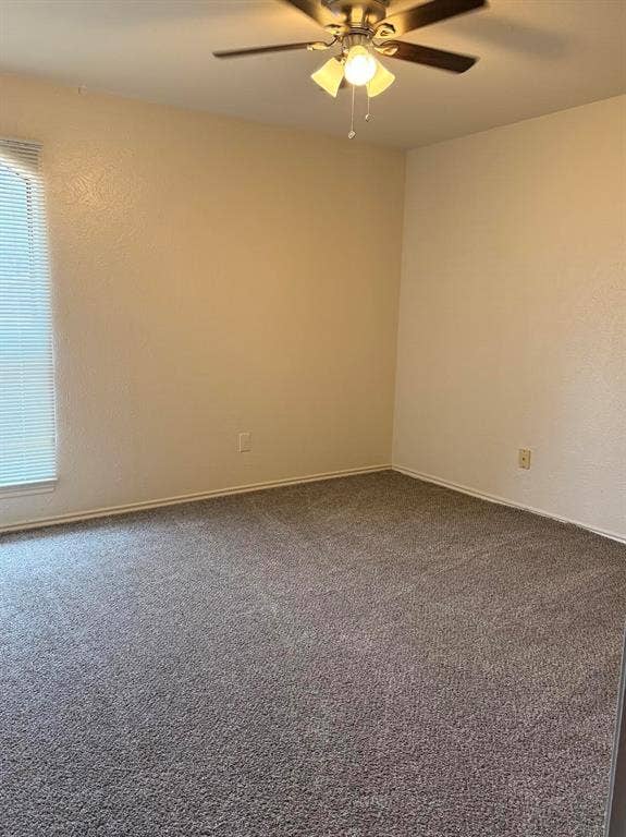 Secondary bedrooms with new carpet.