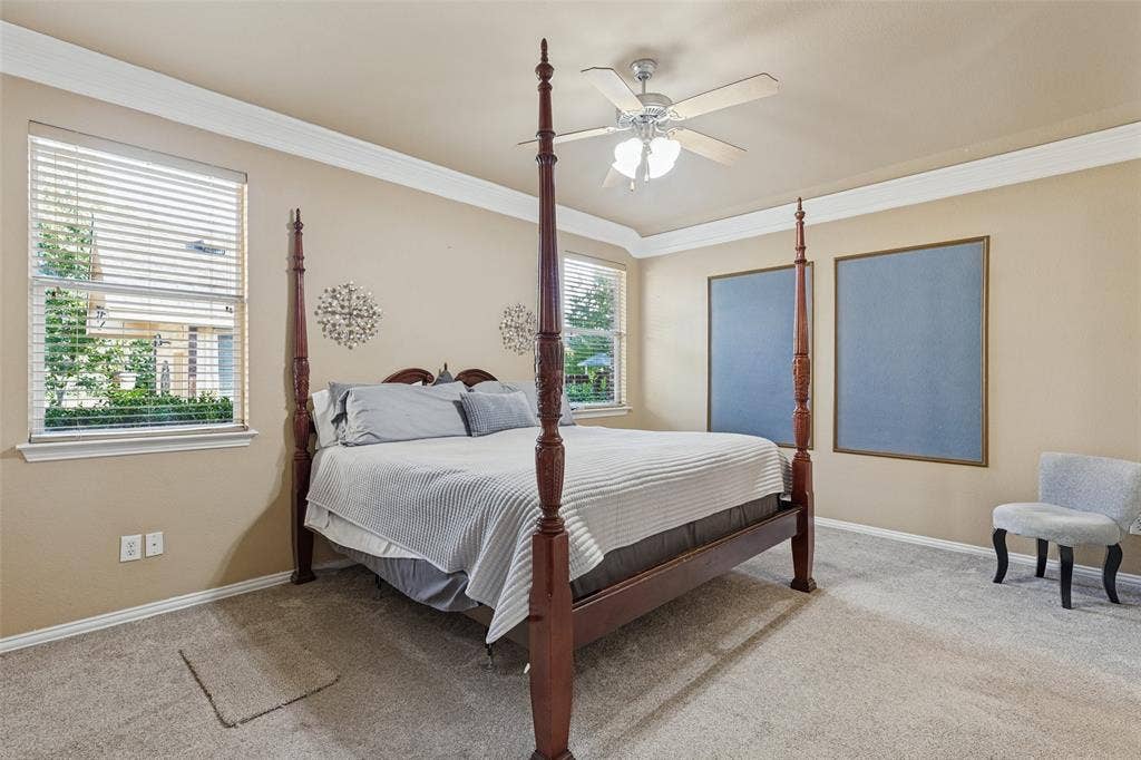 Crown moldings  and neutral carpeting