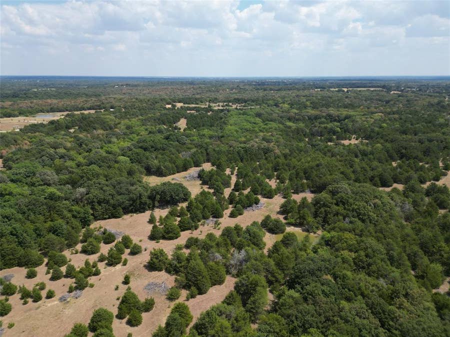Property photo for 85 ac County Road 1019, Celeste, TX