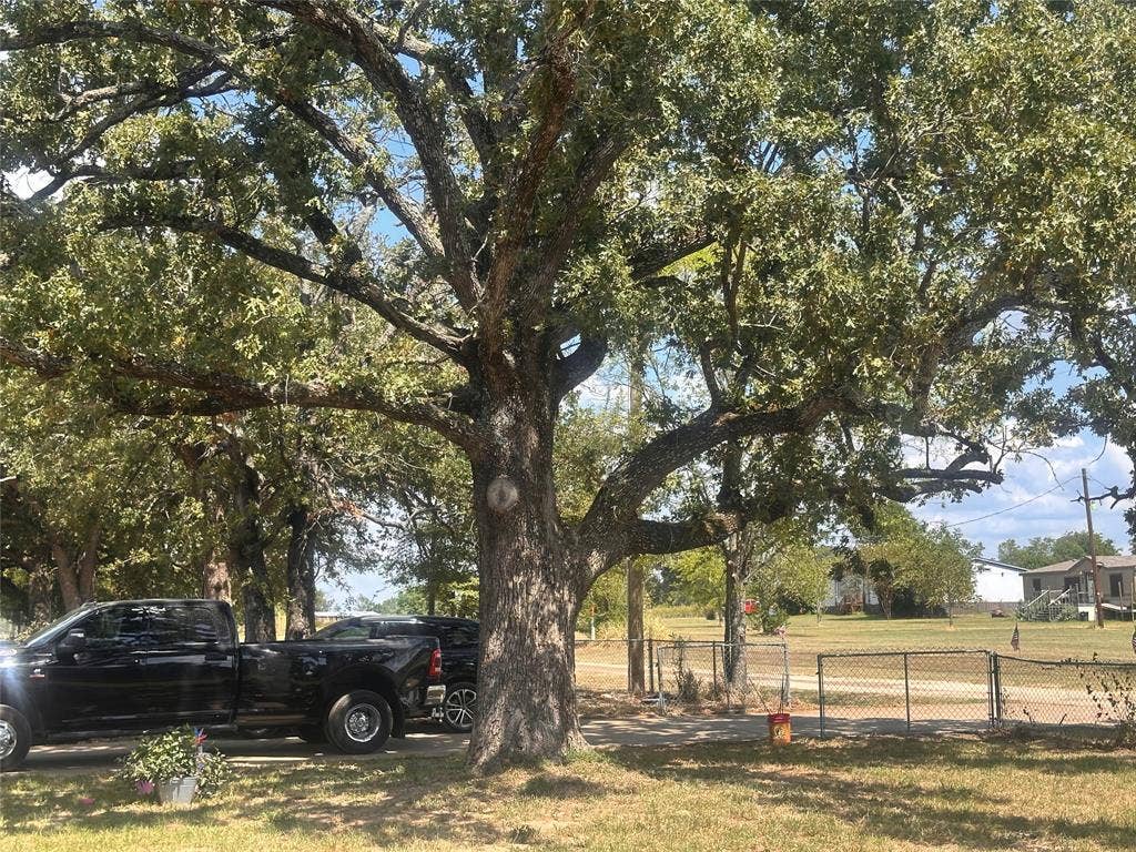 13601 Woodridge, Eustace, TX 75124 Mature trees with extensive canopy