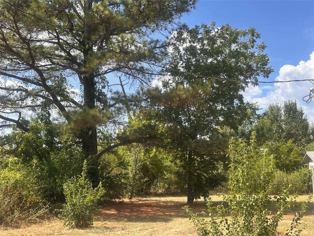 13601 Woodridge, Eustace, TX 75124 Mature trees and varied foliage provide a natural setting