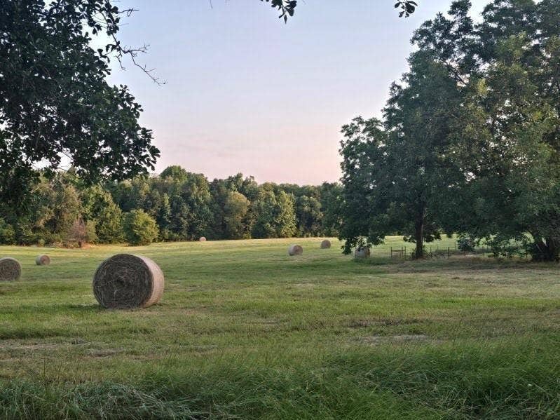 20086 County Road 299, Arp, TX 75750 20086 County Road 299, Arp, TX 75750
