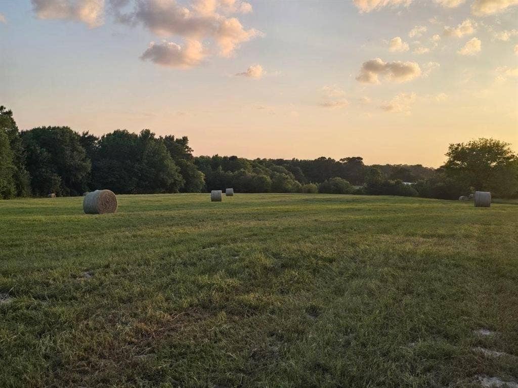 20086 County Road 299, Arp, TX 75750 20086 County Road 299, Arp, TX 75750