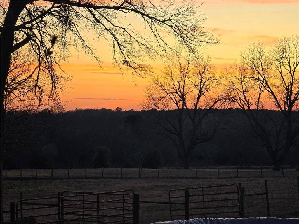 20086 County Road 299, Arp, TX 75750 20086 County Road 299, Arp, TX 75750