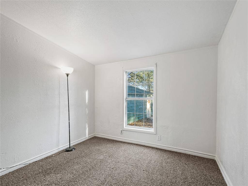 Carpeted flooring, white walls, and a single window