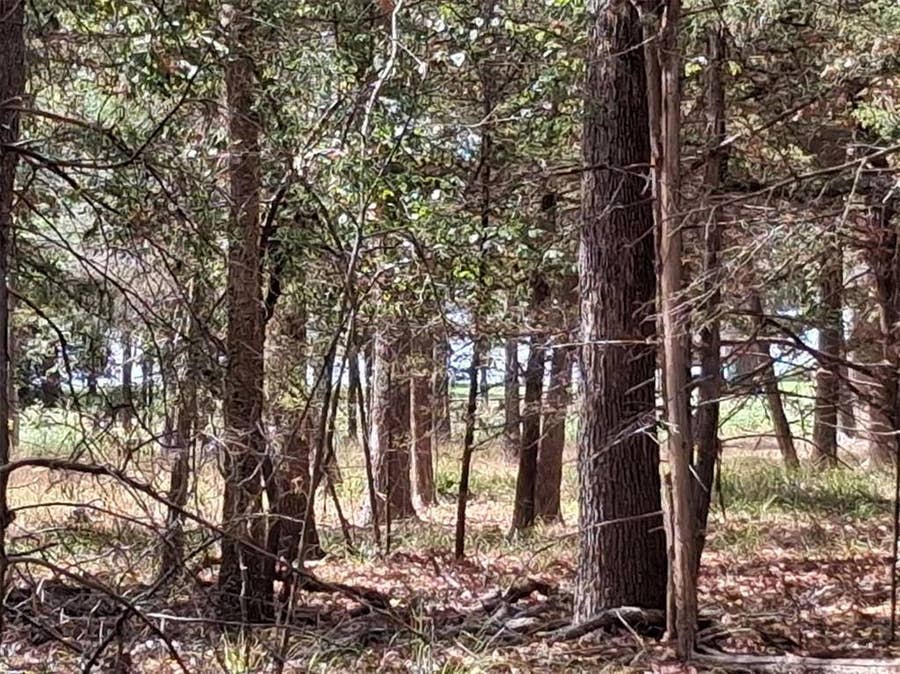 Property photo for tbd Hideaway, Murchison, TX