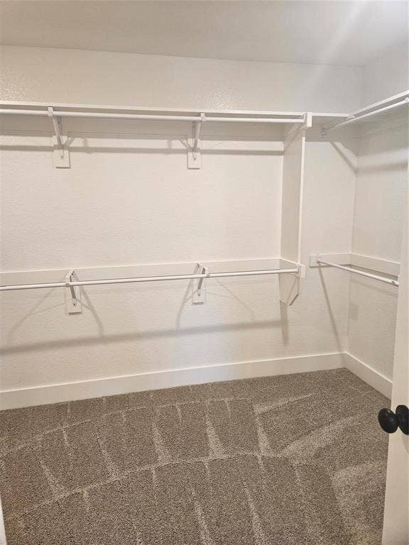 221 Chestnut Street, Celina, TX 75009 Walk-in closet featuring white wall-mounted shelving and hanging rods, white trim, and patterned carpeting