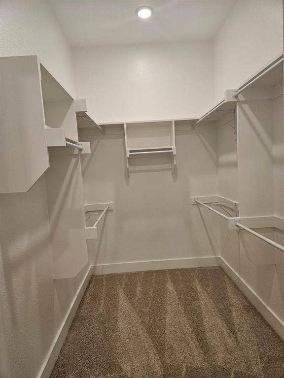 221 Chestnut Street, Celina, TX 75009 Walk-in closet with built-in shelving, hanging rods, recessed ceiling light, and carpet flooring