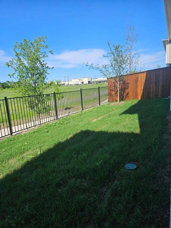 221 Chestnut Street, Celina, TX 75009 Expansive lawn with a wood privacy fence and a black metal perimeter fence