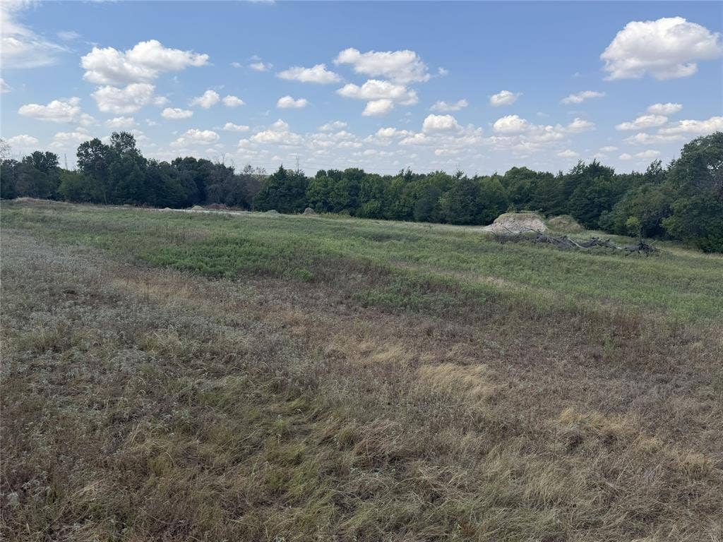 2016 Hoopers Court, Weatherford, TX 76085 Expansive open field with natural vegetation and distant tree lines