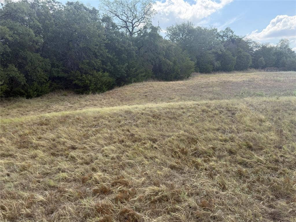 2016 Hoopers Court, Weatherford, TX 76085 Expansive open field with natural vegetation and distant mature trees