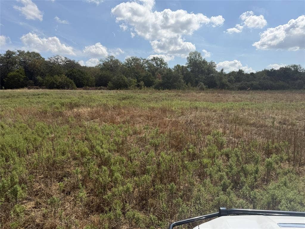 2016 Hoopers Court, Weatherford, TX 76085 Expansive open field bordered by mature trees under a partially clouded sky