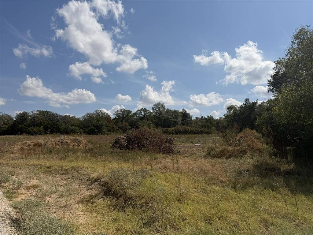 2016 Hoopers Court, Weatherford, TX 76085 Expansive undeveloped land featuring natural vegetation and surrounding mature trees