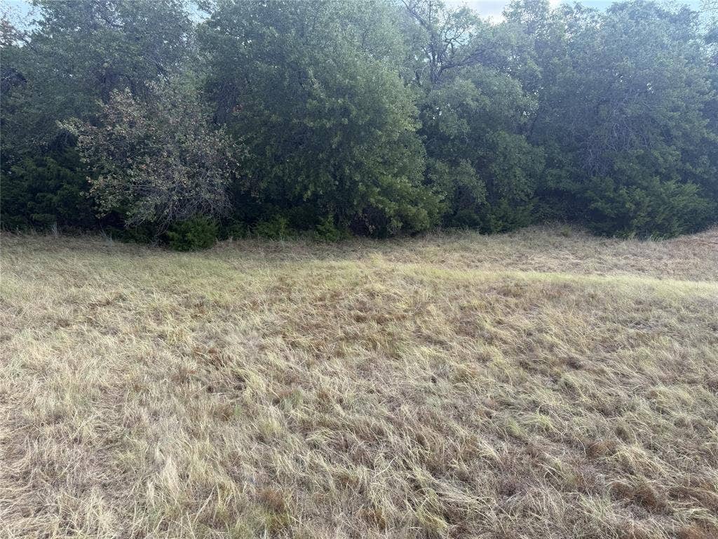 2016 Hoopers Court, Weatherford, TX 76085 Expansive grassy area bordered by mature trees and natural vegetation