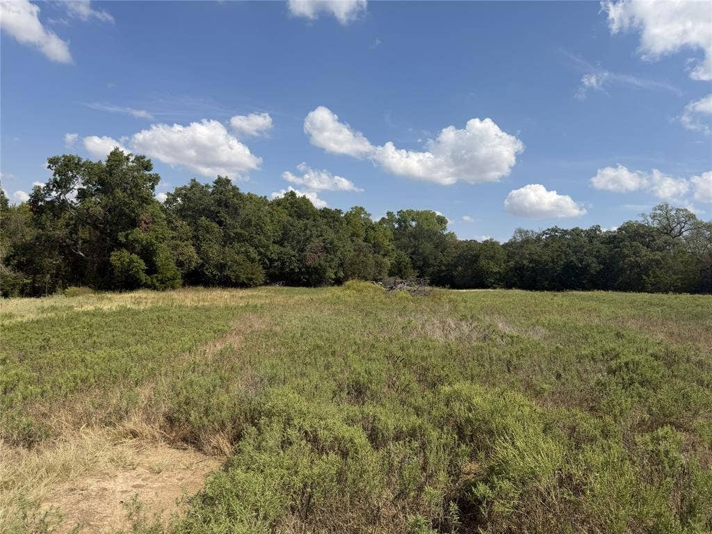 2016 Hoopers Court, Weatherford, TX 76085 Expansive undeveloped lot with mature trees forming a natural border