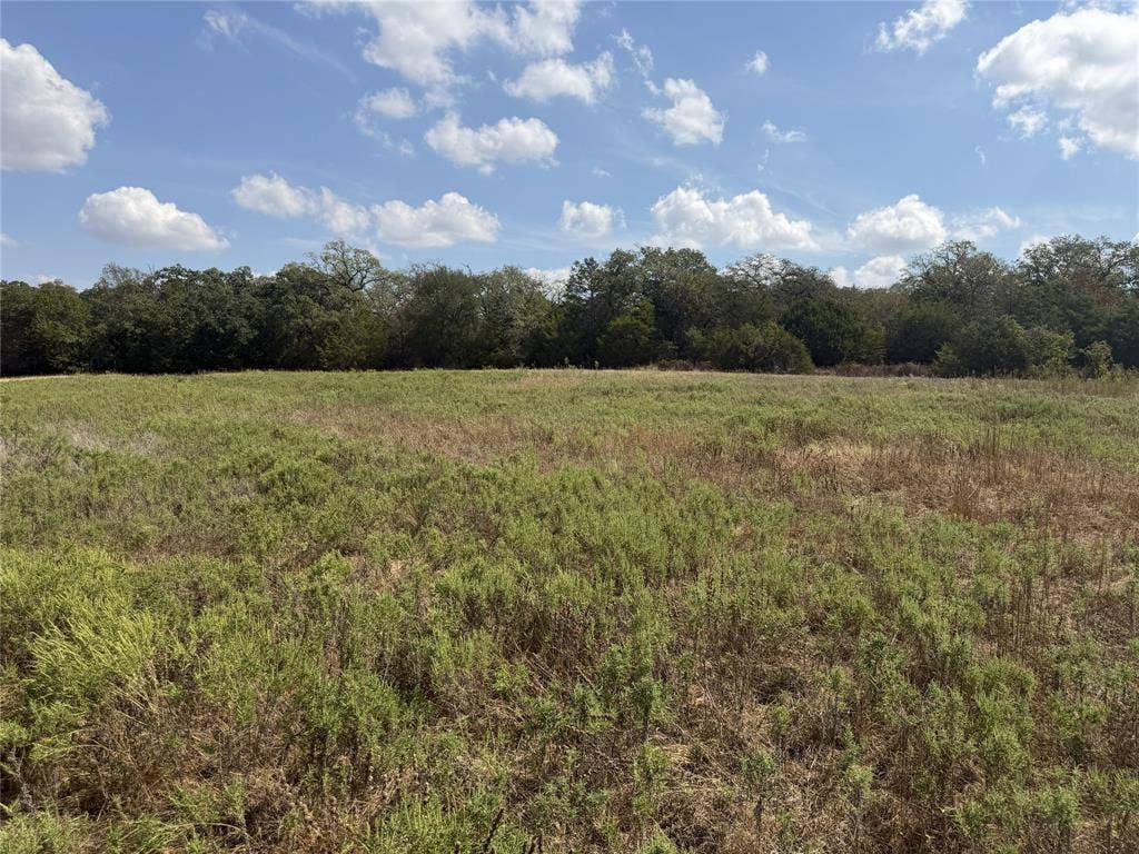 2016 Hoopers Court, Weatherford, TX 76085 Expansive open field with natural vegetation and distant mature trees