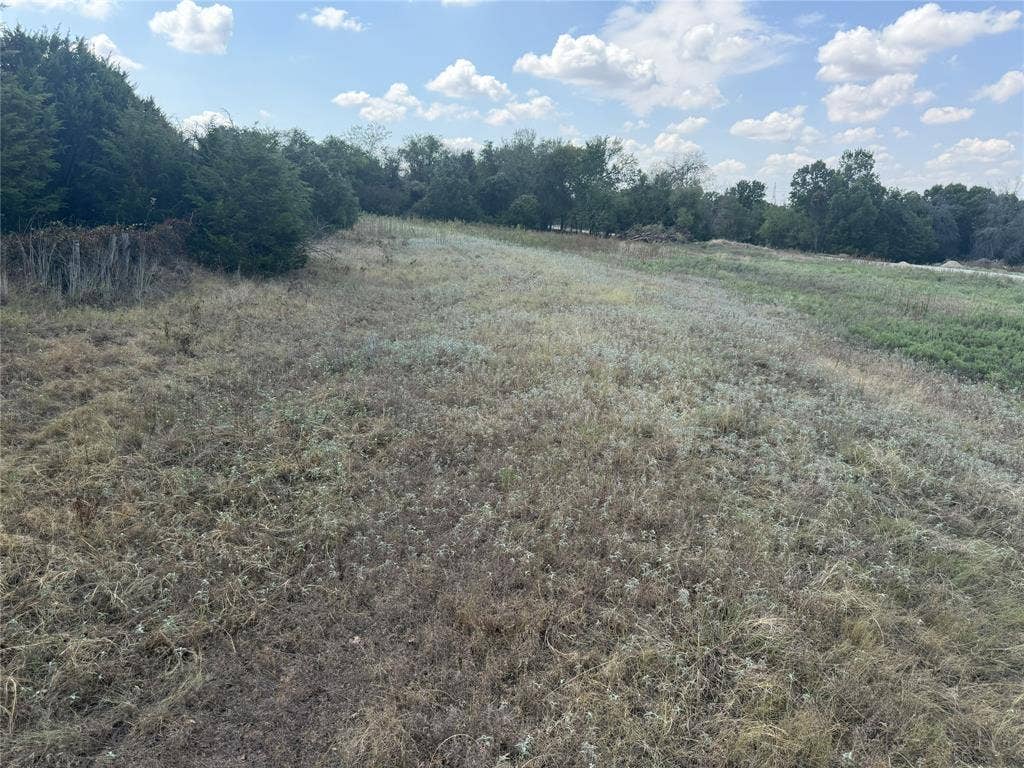 2016 Hoopers Court, Weatherford, TX 76085 Expansive open field with natural vegetation and mature trees bordering the perimeter
