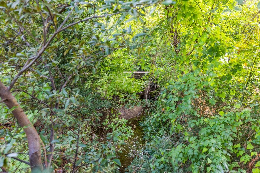 737 N Hampton Road, Dallas, TX 75208 The wooded creek creates a remarkable natural backdrop just minutes from the city.