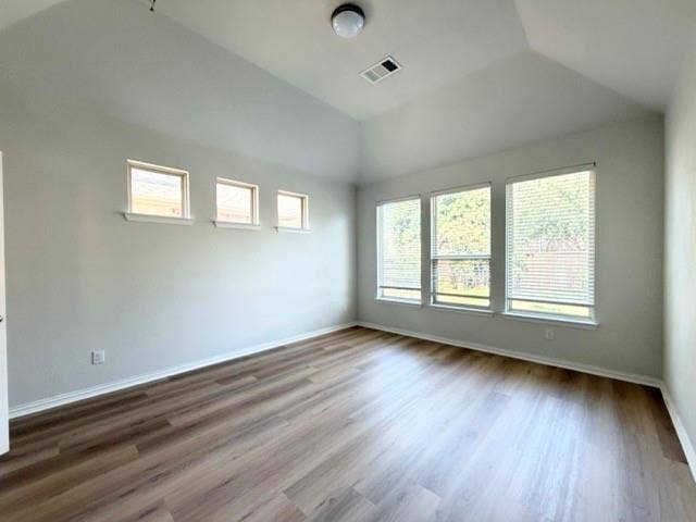 5609 Meritage Street, McKinney, TX 75070 Vaulted ceiling, wood-finish flooring, multiple large windows, additional high windows, and a flush mount ceiling light