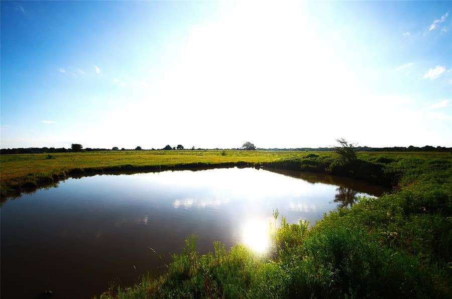 Property photo for 316 Flowing Wells Road, Pottsboro, TX