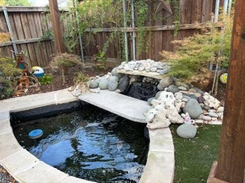 820 Raywood Circle, Plano, TX 75075 Relax and read a novel by your personal pond