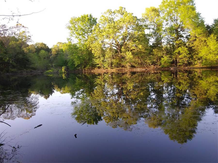 Property photo for TBD-C County Road 45400, Paris, TX