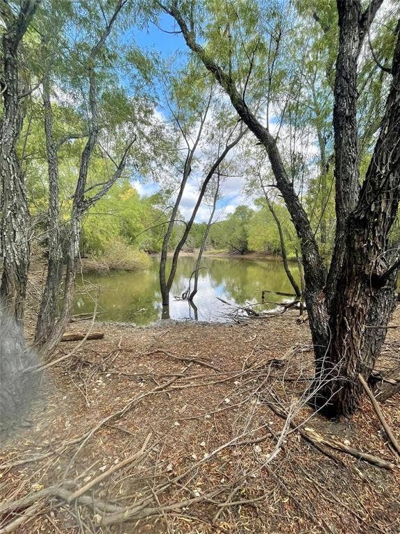 Property photo for 334 Greanead Road, Forestburg, TX