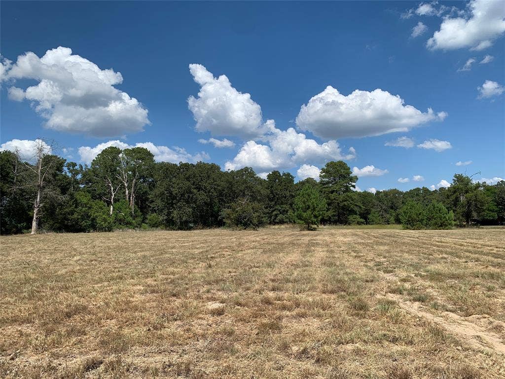Lot 2 County Road 4507, Athens, TX 75752 Lot 2 County Road 4507, Athens, TX 75752