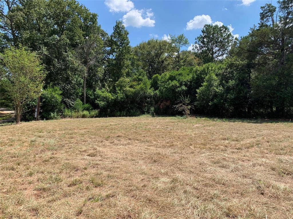 Lot 3 County Road 4509, Athens, TX 75752 Lot 3 County Road 4509, Athens, TX 75752