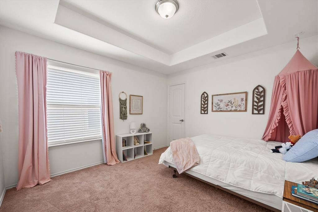 1225 Honeywood Lane, Royse City, TX 75189 Tray ceiling with flush mount lighting
