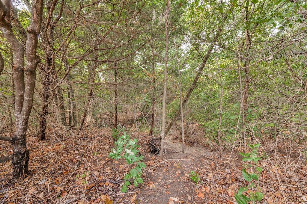 Picture taken under the canopy of trees.