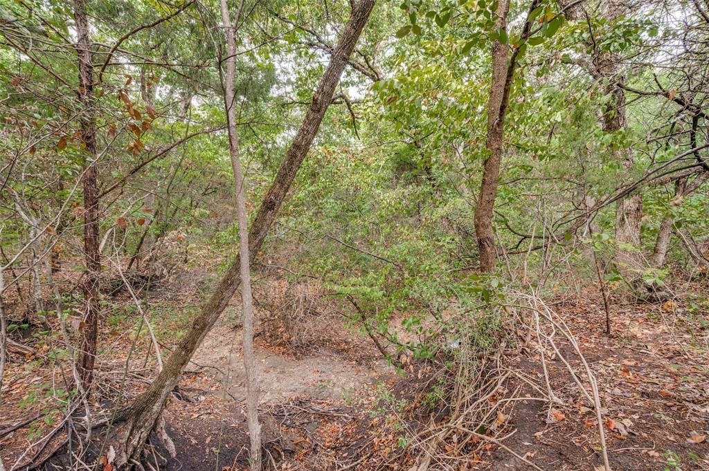 A small creek bed runs through the wooded part of the lot and is typically dry.