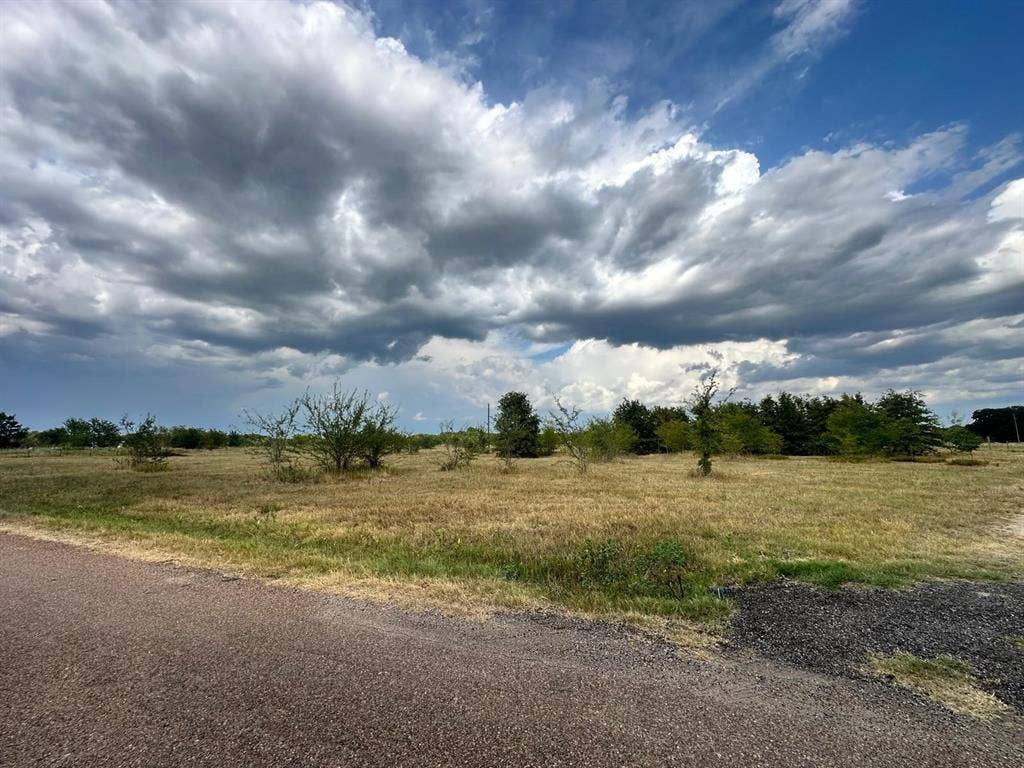 12496 County Road 2148, Kemp, TX 75143 Expansive land parcel with natural vegetation and mature trees, featuring a paved road frontage