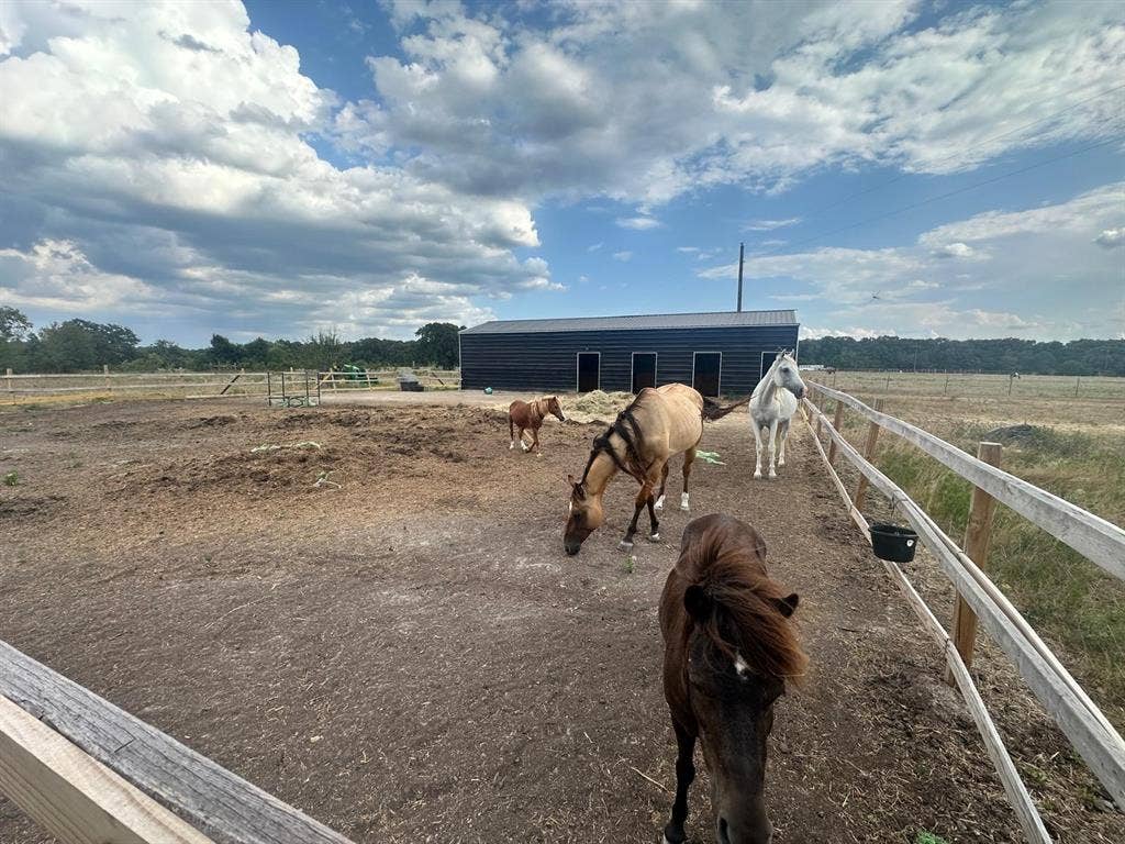 12496 County Road 2148, Kemp, TX 75143 12496 County Road 2148, Kemp, TX 75143