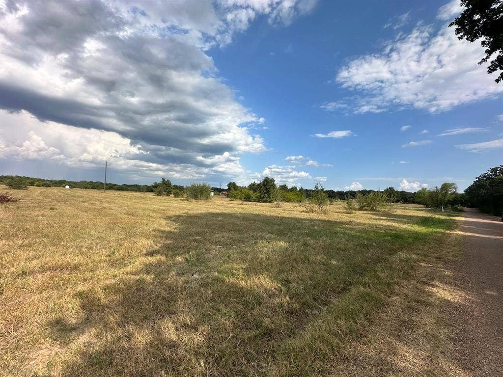 12496 County Road 2148, Kemp, TX 75143 Expansive open land with natural ground cover, bordered by a gravel road