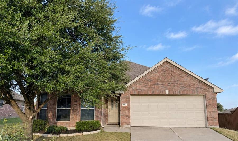 Property photo for 2803 Arabian Lane, Celina, TX