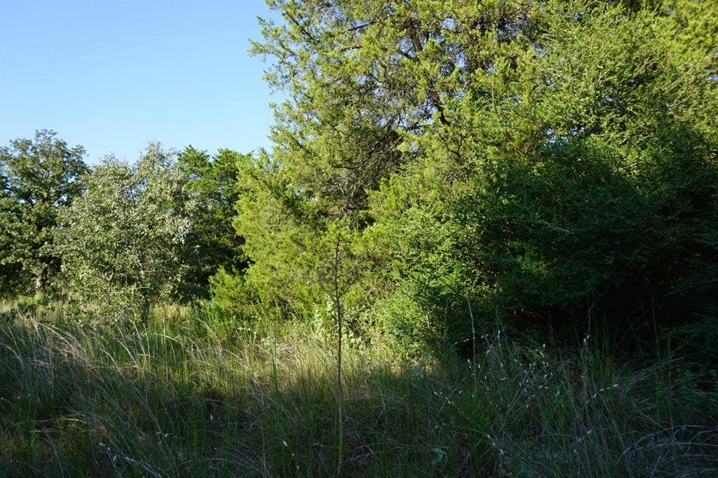 12641 Private Road 5104, Athens, TX 75751 12641 Private Road 5104, Athens, TX 75751