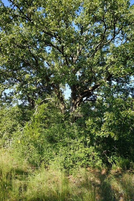 12641 Private Road 5104, Athens, TX 75751 12641 Private Road 5104, Athens, TX 75751