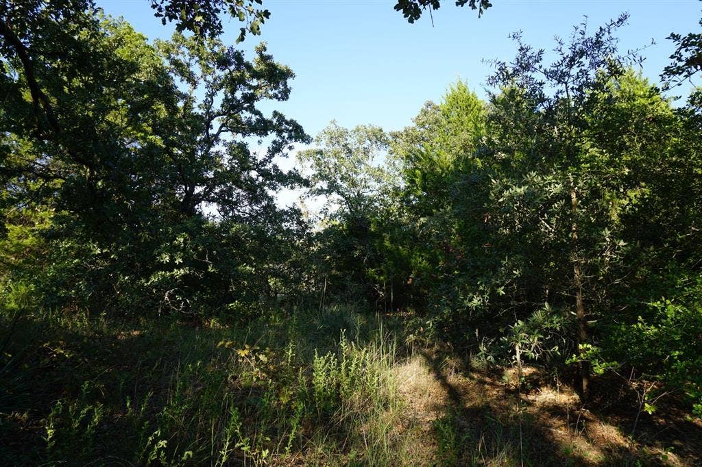 12641 Private Road 5104, Athens, TX 75751 12641 Private Road 5104, Athens, TX 75751