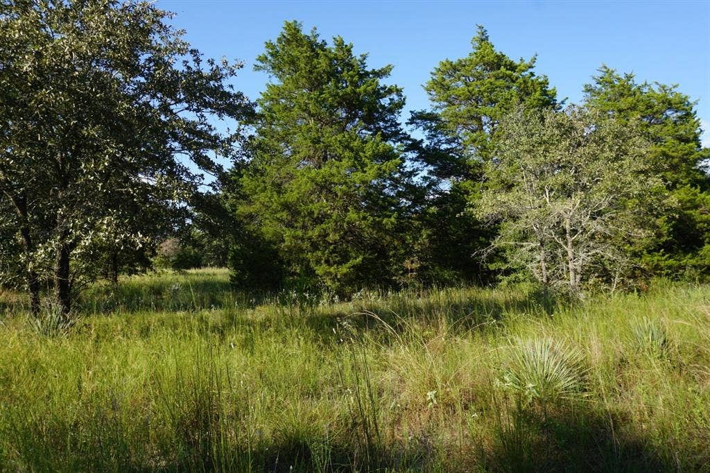12641 Private Road 5104, Athens, TX 75751 12641 Private Road 5104, Athens, TX 75751