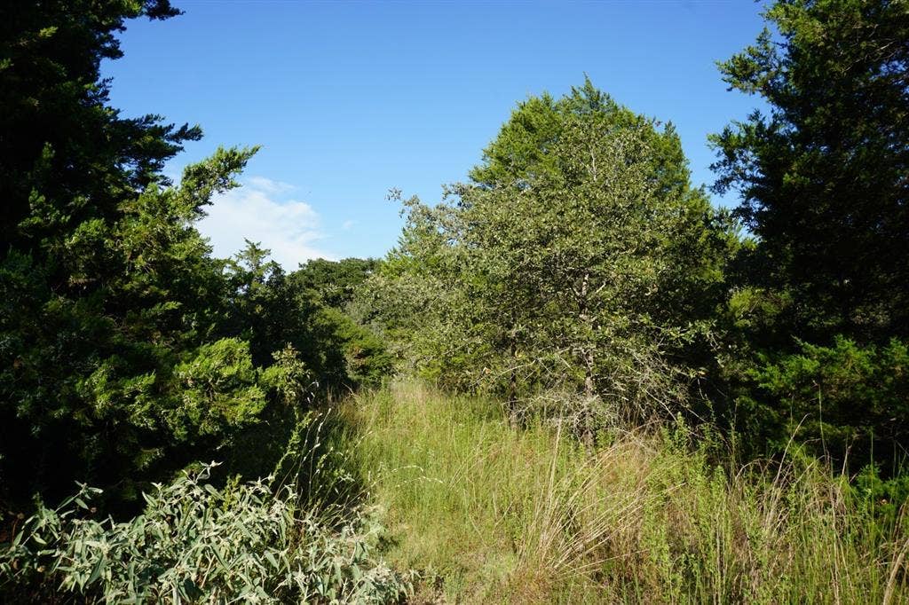 12641 Private Road 5104, Athens, TX 75751 12641 Private Road 5104, Athens, TX 75751