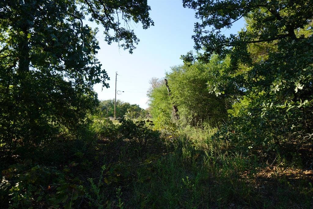 12641 Private Road 5104, Athens, TX 75751 12641 Private Road 5104, Athens, TX 75751