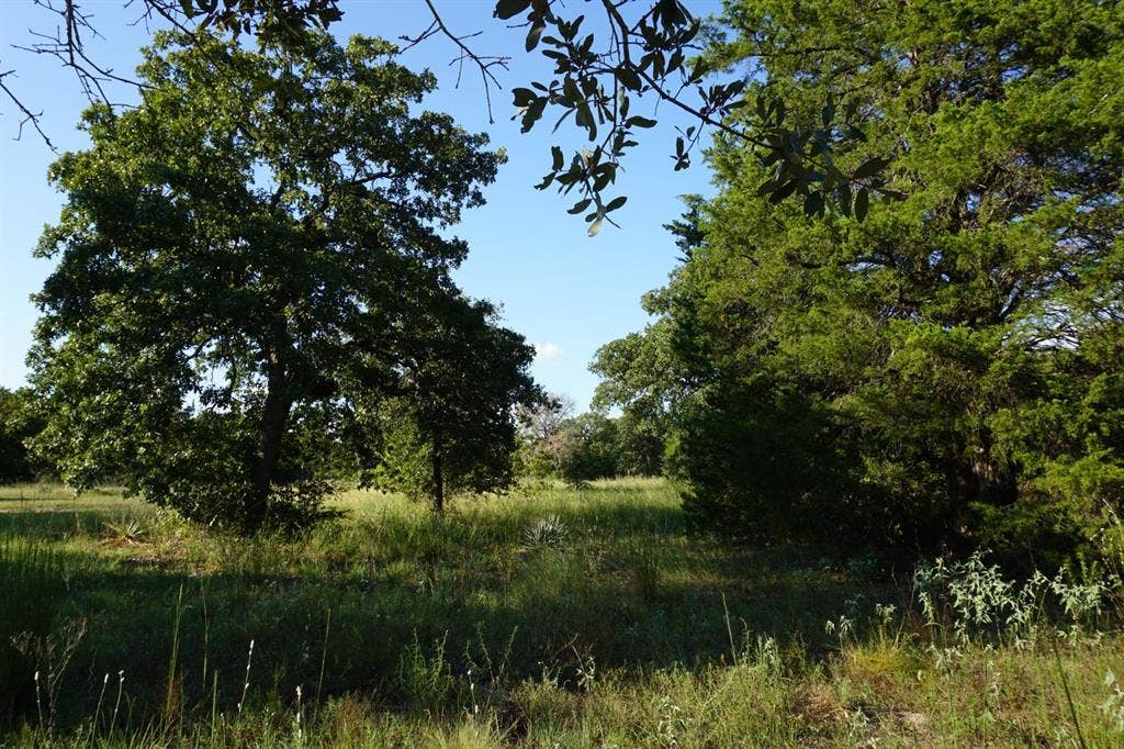 12641 Private Road 5104, Athens, TX 75751 12641 Private Road 5104, Athens, TX 75751