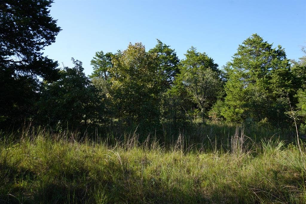 12641 Private Road 5104, Athens, TX 75751 12641 Private Road 5104, Athens, TX 75751
