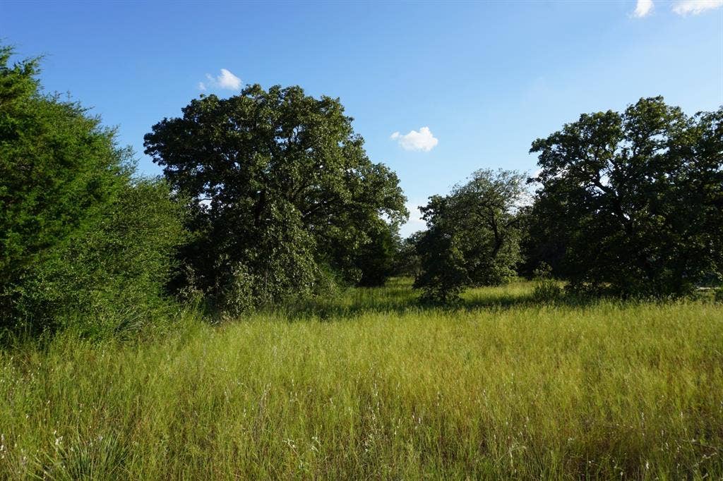 12641 Private Road 5104, Athens, TX 75751 12641 Private Road 5104, Athens, TX 75751