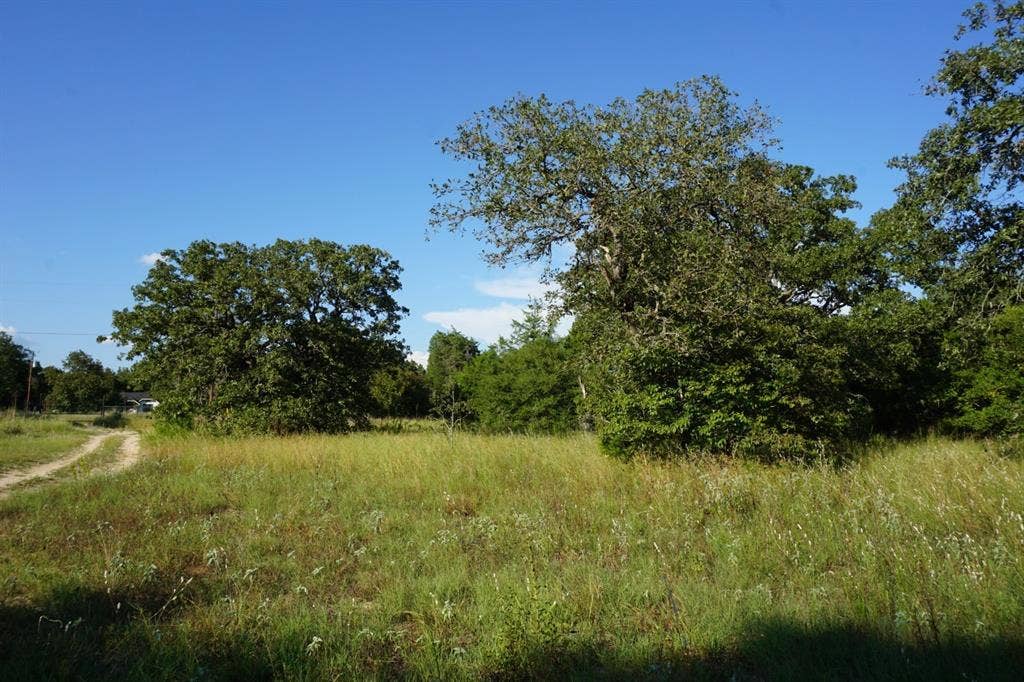 12641 Private Road 5104, Athens, TX 75751 12641 Private Road 5104, Athens, TX 75751