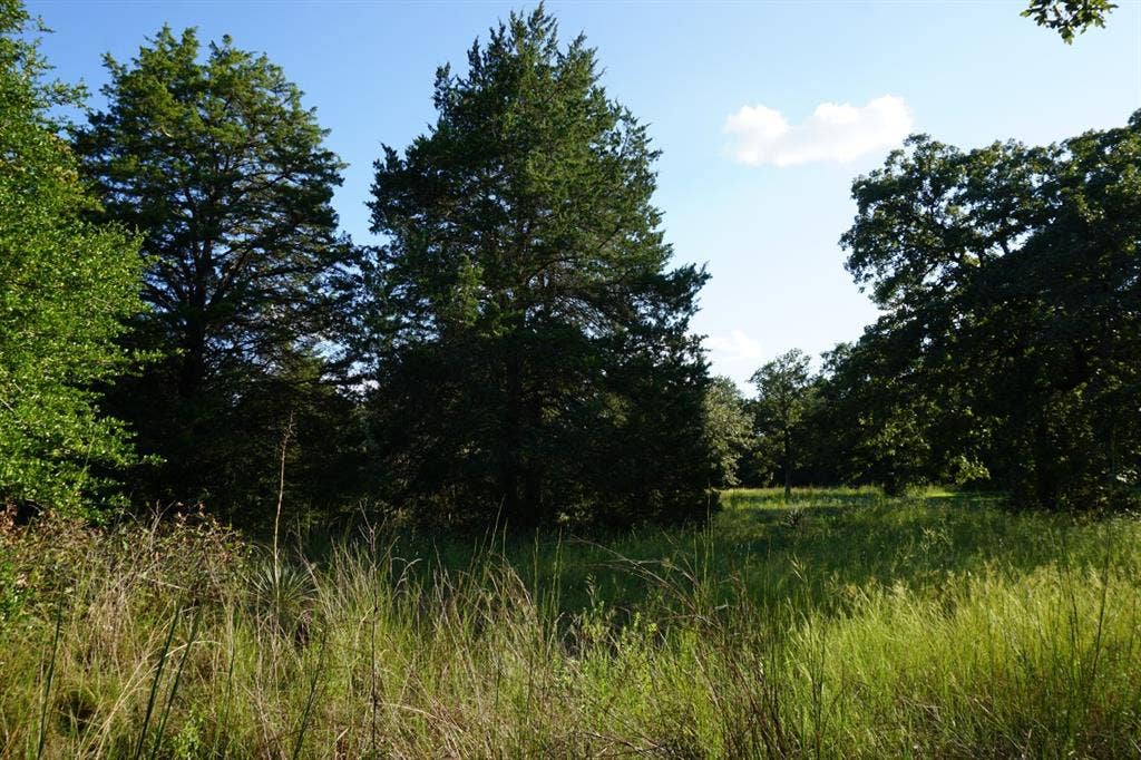12641 Private Road 5104, Athens, TX 75751 12641 Private Road 5104, Athens, TX 75751